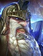 Baerdal Fellhammer